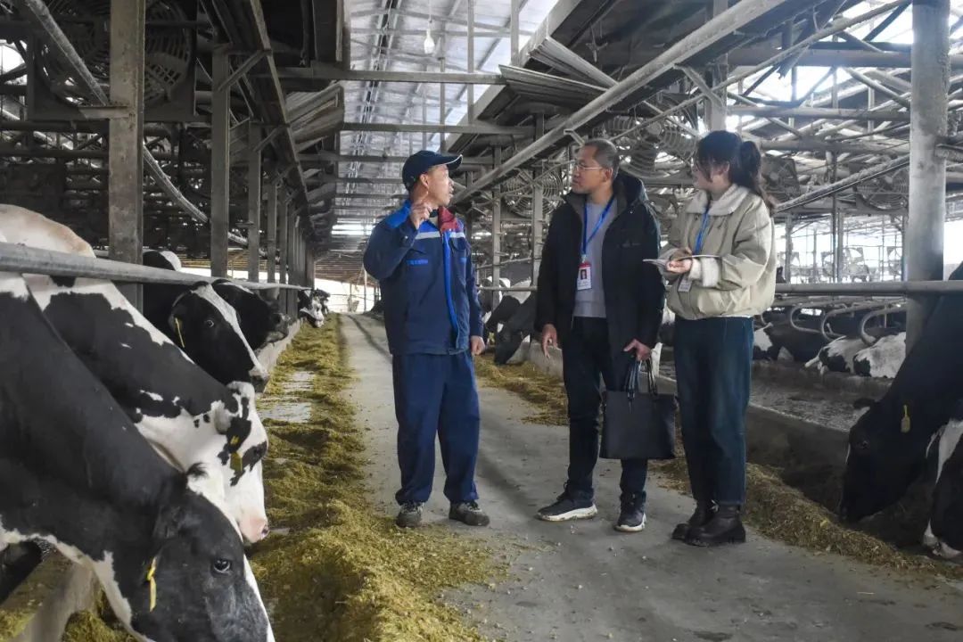 聚焦全會?學(xué)習貫徹丨南平：一以貫之推進全面從嚴治黨 為奮力推進 中國式現(xiàn)代化南平實踐清障護航